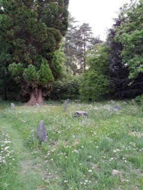 Friedhof / Church yard